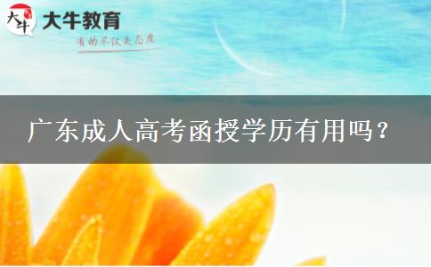 廣東成人高考函授學(xué)歷有用嗎？