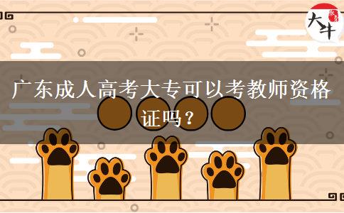廣東成人高考大?？梢钥冀處熧Y格證嗎？