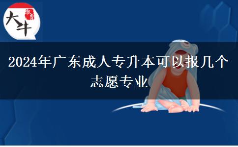 2024年廣東成人專升本可以報(bào)幾個(gè)志愿專業(yè)