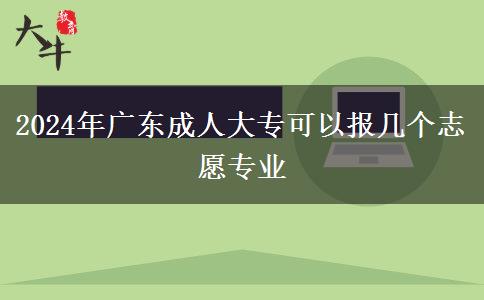2024年廣東成人大?？梢詧?bào)幾個(gè)志愿專業(yè)