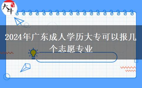 2024年廣東成人學(xué)歷大?？梢詧?bào)幾個(gè)志愿專業(yè)