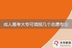 2024年廣東成人高考大?？商顖?bào)幾個(gè)志愿專業(yè)