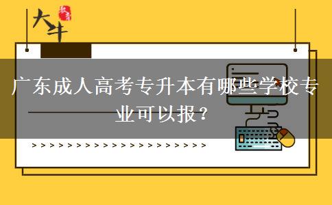 廣東成人高考專升本有哪些學(xué)校專業(yè)可以報？