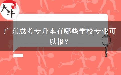 廣東成考專升本有哪些學(xué)校專業(yè)可以報(bào)？