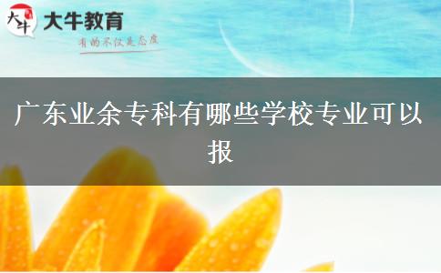 廣東業(yè)余?？朴心男W(xué)校專業(yè)可以報