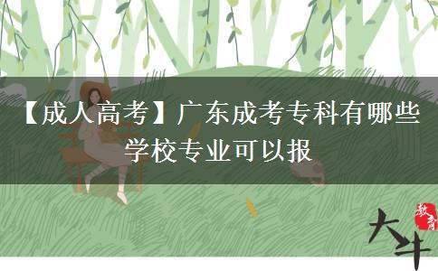 廣東成考?？朴心男W(xué)校專業(yè)可以