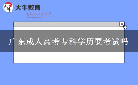 廣東成人高考?？茖W(xué)歷要考試嗎