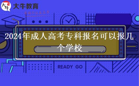 2024年成人高考?？茍竺梢詧髱讉€學(xué)校