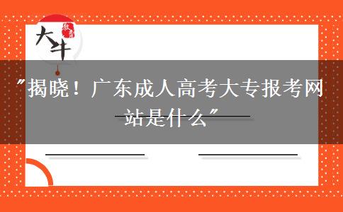 廣東成人高考大專(zhuān)報(bào)考網(wǎng)站是什么