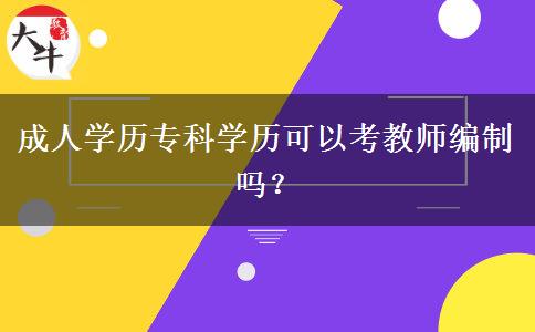成人學歷專科學歷可以考教師編制嗎？