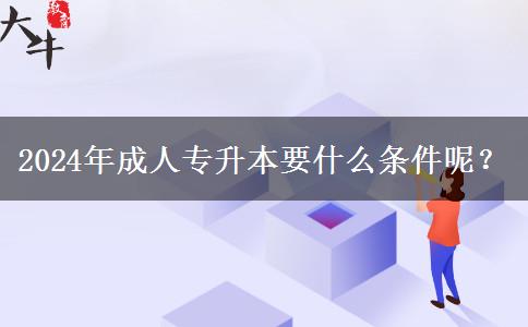 2024年成人專升本要什么條件呢？