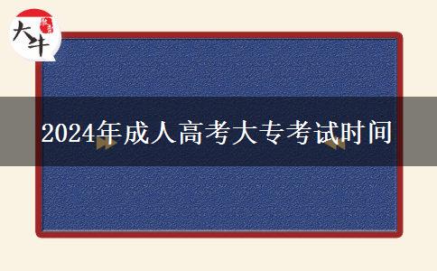 2024年成人高考大?？荚嚂r間