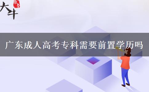 廣東成人高考?？菩枰爸脤W(xué)歷嗎