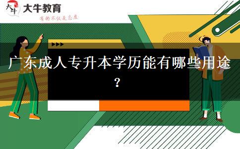 廣東成人專升本學(xué)歷能有哪些用。</div>
                    <div   class=