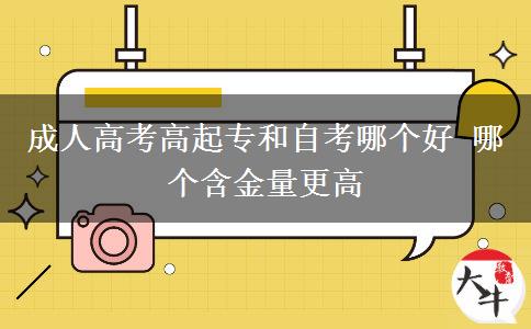 成人高考高起專和自考哪個好。</div>
                    <div   class=