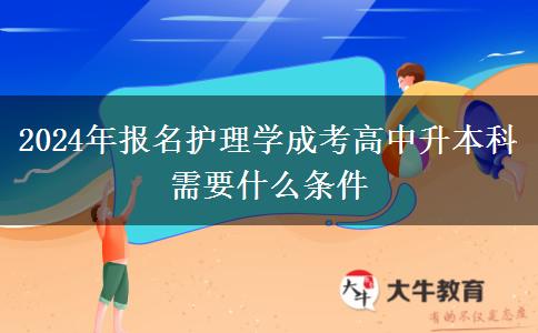 2024年報(bào)名護(hù)理學(xué)成考高中升本科需。</div>
                    <div   class=