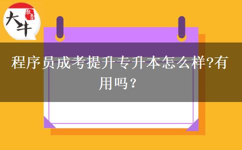 程序員成考提升專升本怎么樣?有用嗎？