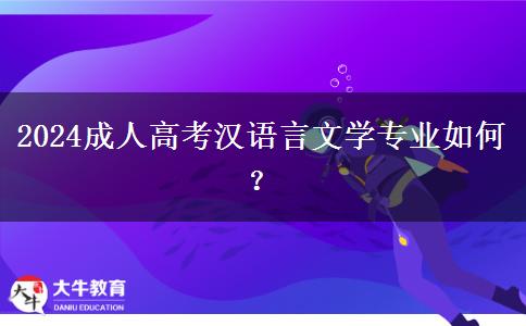 2024成人高考漢語言文學(xué)專業(yè)如何？
