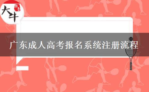廣東成人高考報(bào)名系統(tǒng)注冊(cè)流程