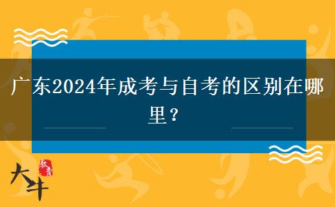 廣東2024年成考與自考的區(qū)別在哪里？