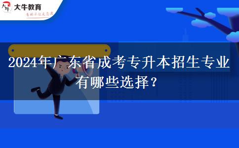 2024年廣東省成考專升本招生專業(yè)有哪些選擇？