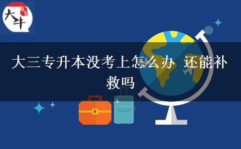 大三專升本沒考上怎么辦 還能補(bǔ)救嗎