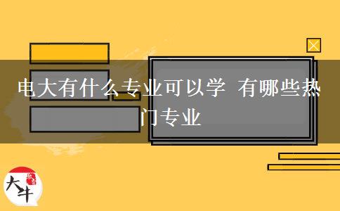 電大有什么專業(yè)可以學 有哪些熱門專業(yè)