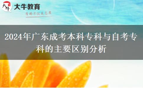 2024年廣東成考本科?？婆c自考?？频闹饕獏^(qū)別分析