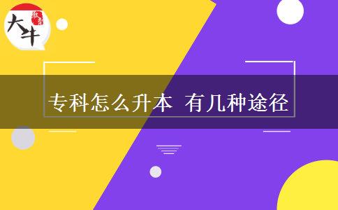 專(zhuān)科怎么升本 有幾種途徑