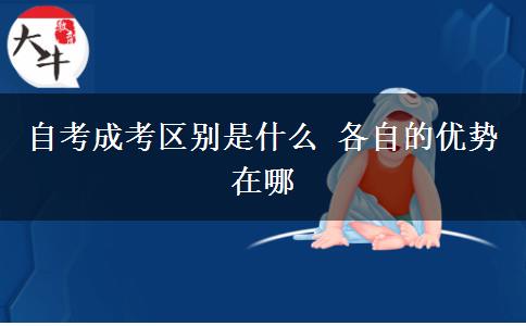 自考成考區(qū)別是什么 各自的優(yōu)勢(shì)在哪