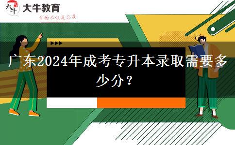 廣東2024年成考專升本錄取需要多少分？