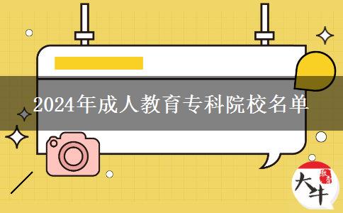 2024年成人教育?？圃盒Ｃ麊? title=
