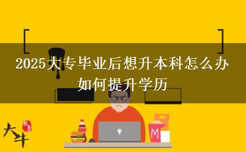 2025大專畢業(yè)后想升本科怎么辦 如何提升學歷