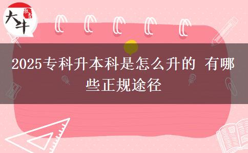 2025?？粕究剖窃趺瓷?有哪些正規(guī)途徑