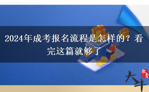 2024年成考報名流程是怎樣的？看完這篇就夠了