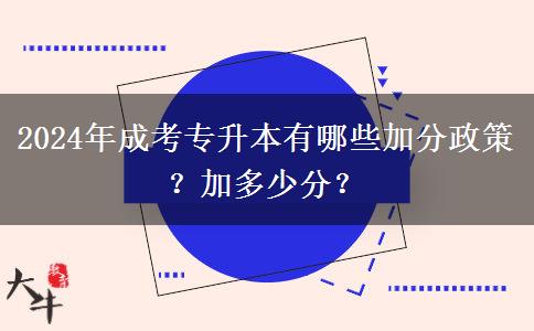 2024年成考專升本有哪些加分政策？加多少分？
