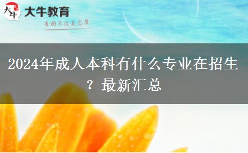 2024年成人本科有什么專業(yè)在招生？最新匯總