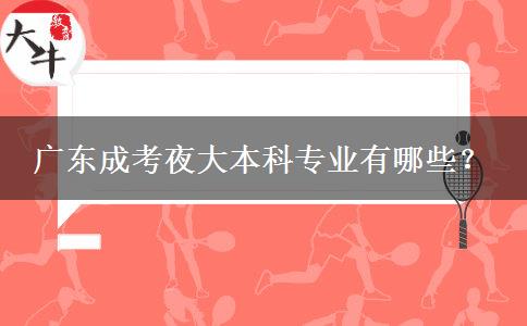 廣東成考夜大本科專業(yè)有哪些？