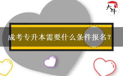 成考專升本需要什么條件報(bào)名？