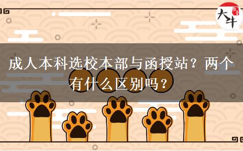 成人本科選校本部與函授站？兩個有什么區(qū)別嗎？