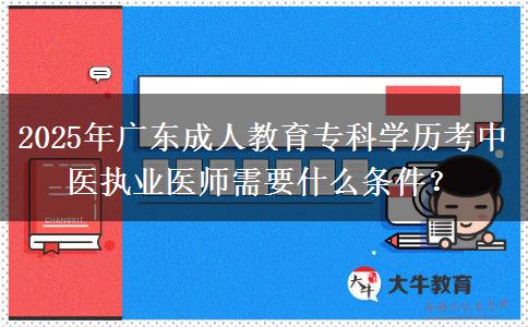 2025年廣東成人教育專科學(xué)歷考中醫(yī)執(zhí)業(yè)醫(yī)師需要什么條件？