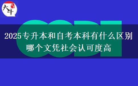 2025專升本和自考本科有什么區(qū)別 哪個(gè)文憑社會(huì)認(rèn)可度高