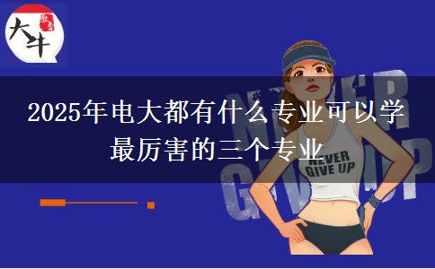 2025年電大都有什么專(zhuān)業(yè)可以學(xué) 最厲害的三個(gè)專(zhuān)業(yè)