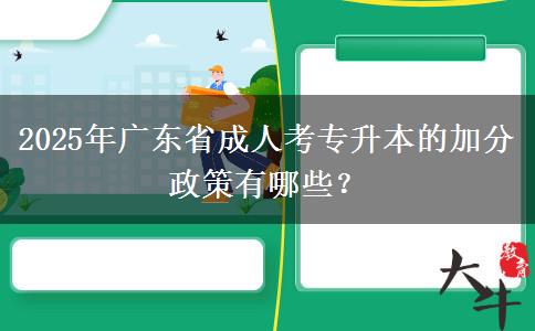 2025年廣東省成人考專升本的加分政策有哪些？