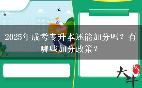 2025年成考專升本還能加分嗎？有哪些加分政策？