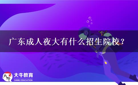 廣東成人夜大有什么招生院校？