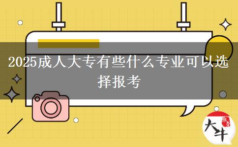 2025成人大專有些什么專業(yè)可以選擇報(bào)考