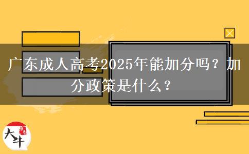 廣東成人高考2025年能加分嗎？加分政策是什么？
