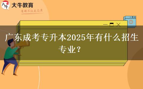 廣東成考專升本2025年有什么招生專業(yè)？