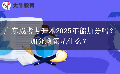 廣東成考專升本2025年能加分嗎？加分政策是什么？